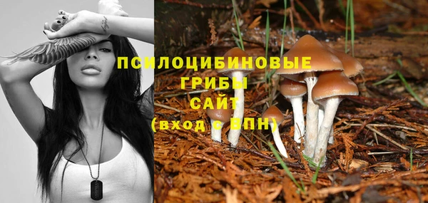 apvp Нягань