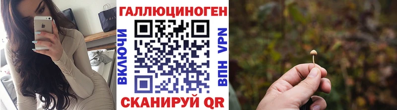 хочу   omg как войти  Галлюциногенные грибы MAGIC MUSHROOMS  Закаменск 